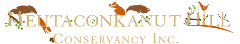 Neutaconkanut Hill Conservancy Inc. Neutaconkanut Hill Conservancy Inc.